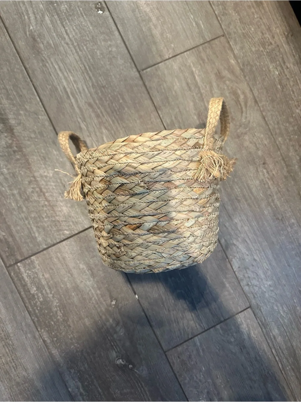 Handwoven Seagrass Storage Basket with Handles - Natural Cream & Tan